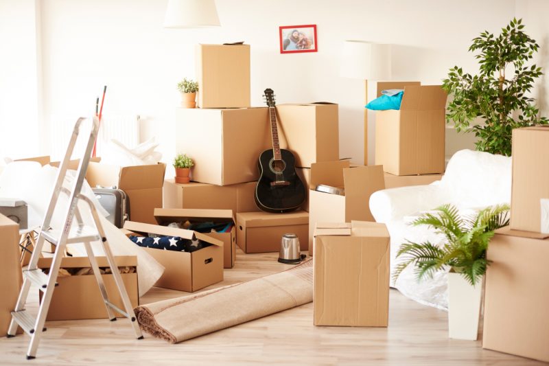 Who Are the Best Removalists in Melbourne?